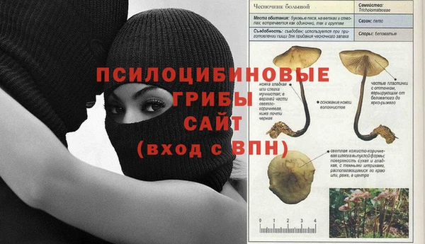 дурь Арсеньев