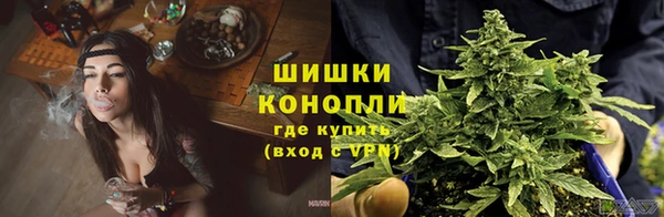 дурь Арсеньев