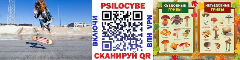 МЕГА ССЫЛКА  Балашов  Псилоцибиновые грибы мицелий 